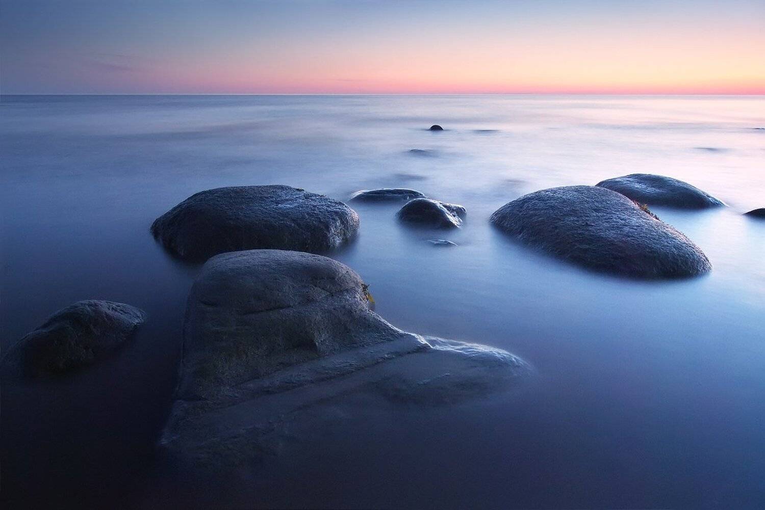 , Максим Евдокимов