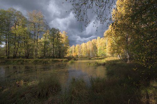 В театре Мещерской осени...