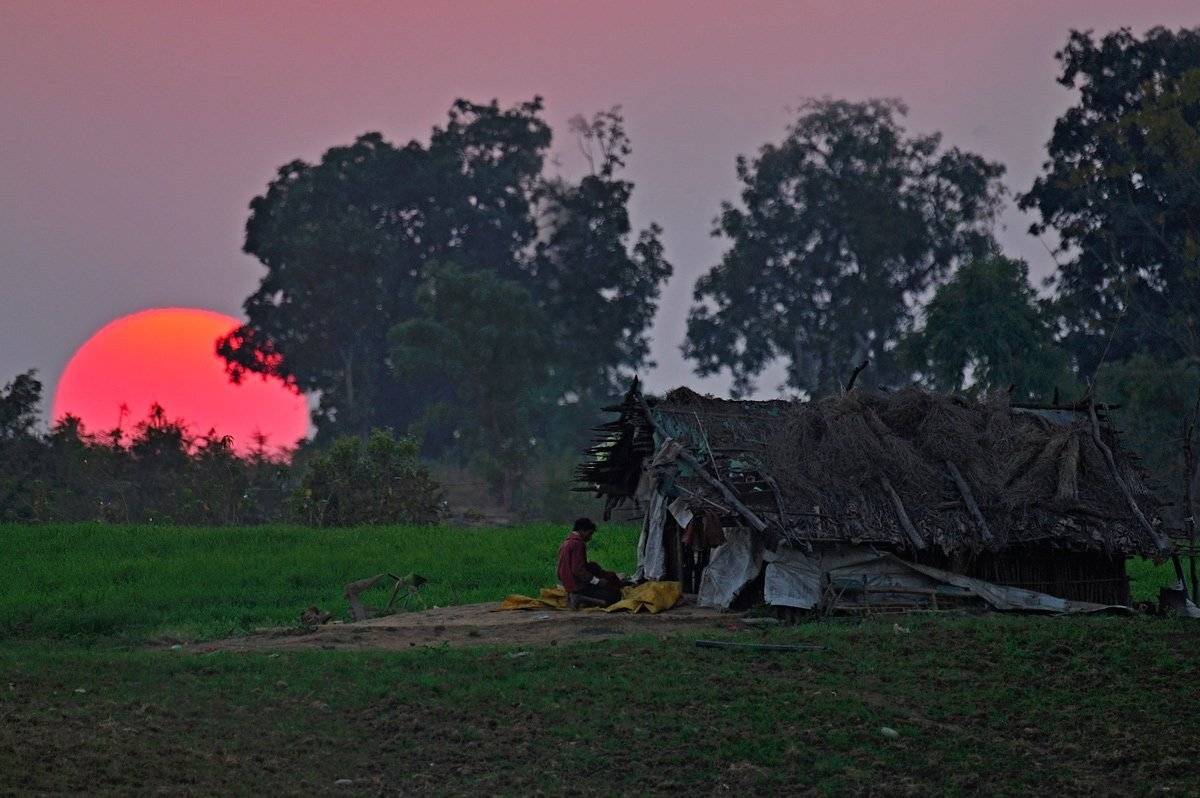 , Алексей Тищенко