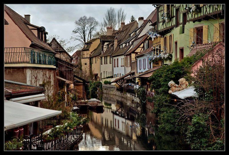 про белых мишек фото превью