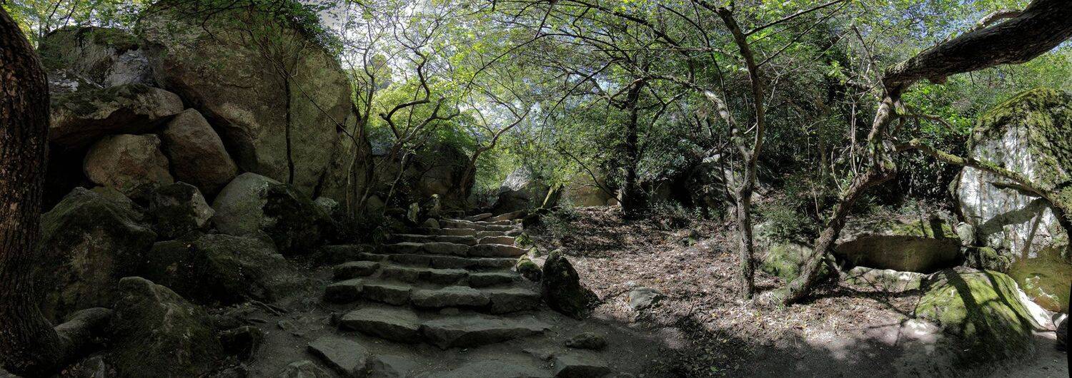 , Евгений ПЛИШКИН