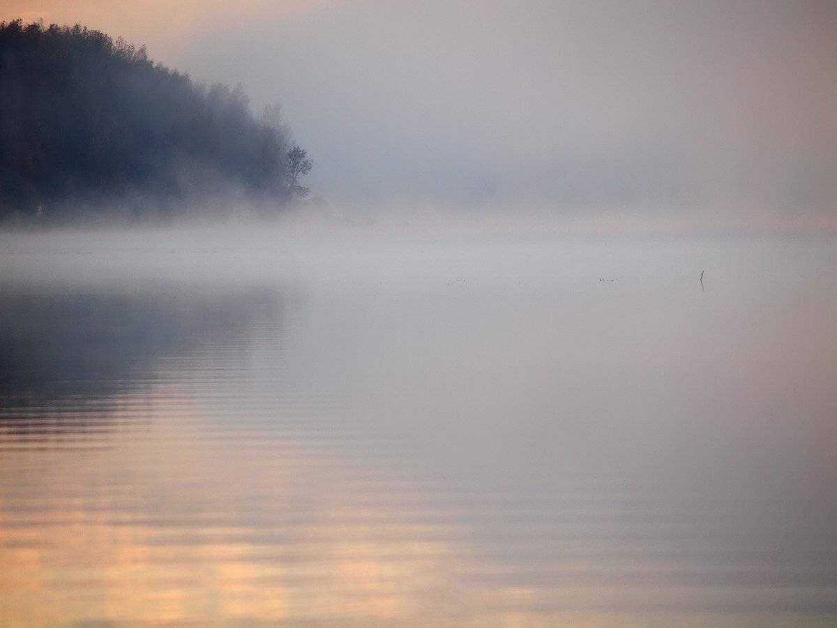 , Владимир Перепечаев