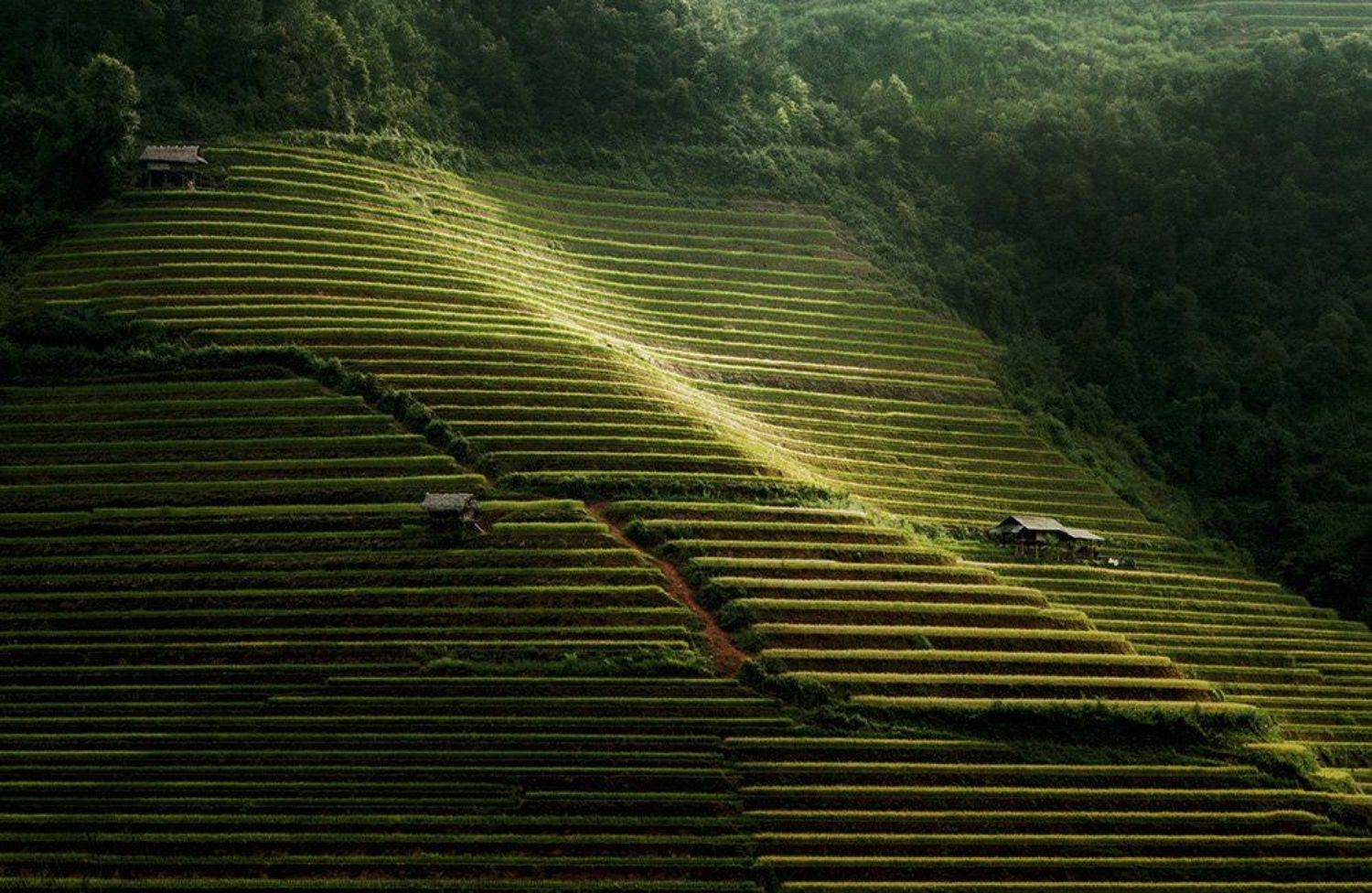 hai, vietnam, mucangchai, вьетнам,, Hai Trinh Xuan
