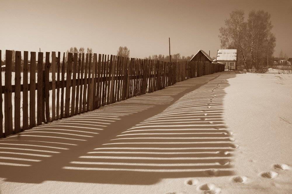 , Николай Морский