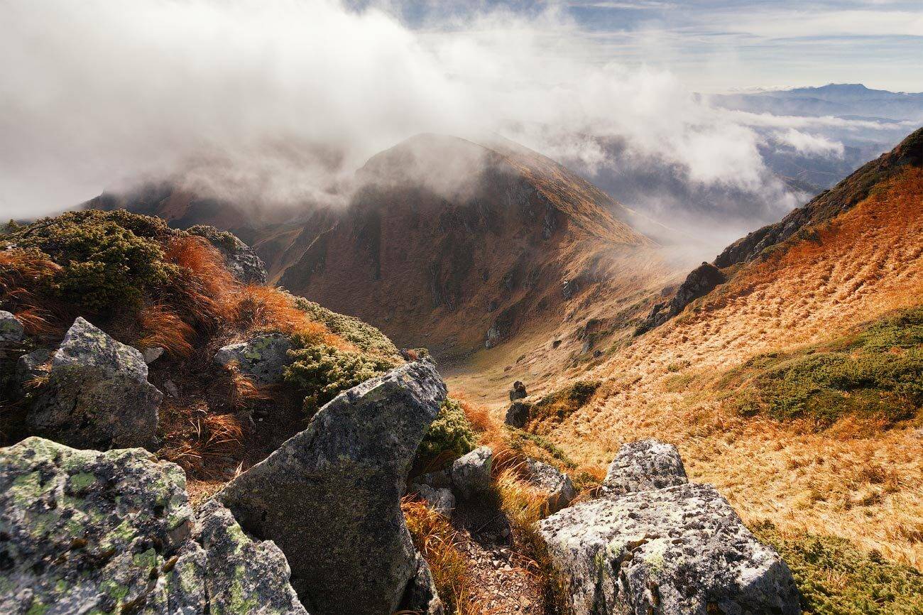 , Андрій Плясун