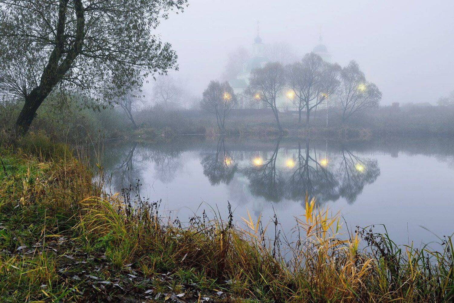 , Максим Евдокимов