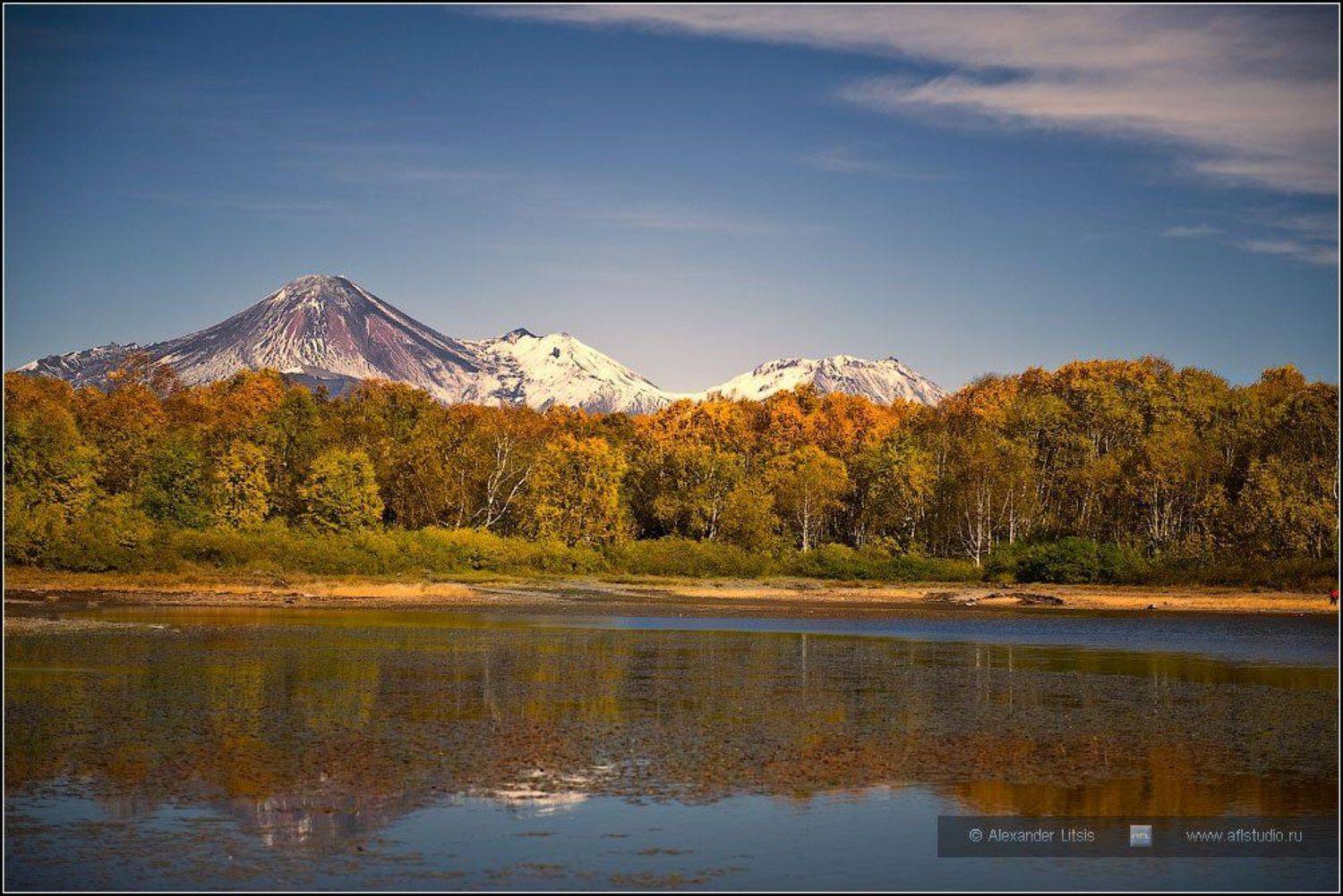 , Александр Лицис