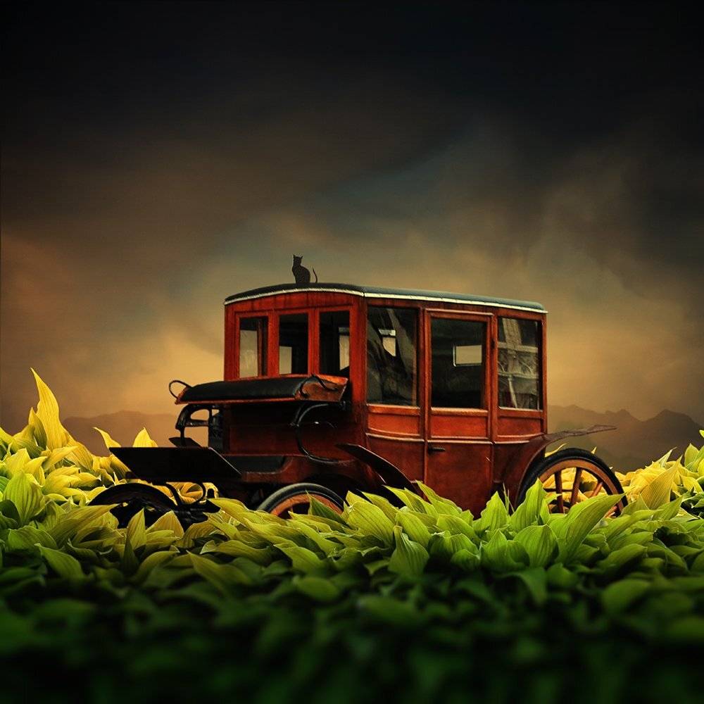 , Caras Ionut