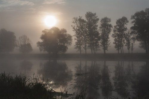 Монохром туманного восхода