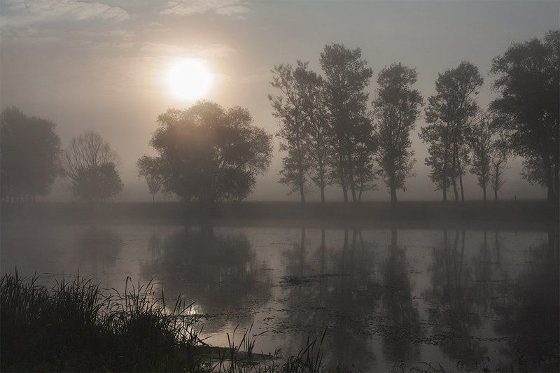 утро, восход, река, солнце, туман Монохром туманного восхода фото превью