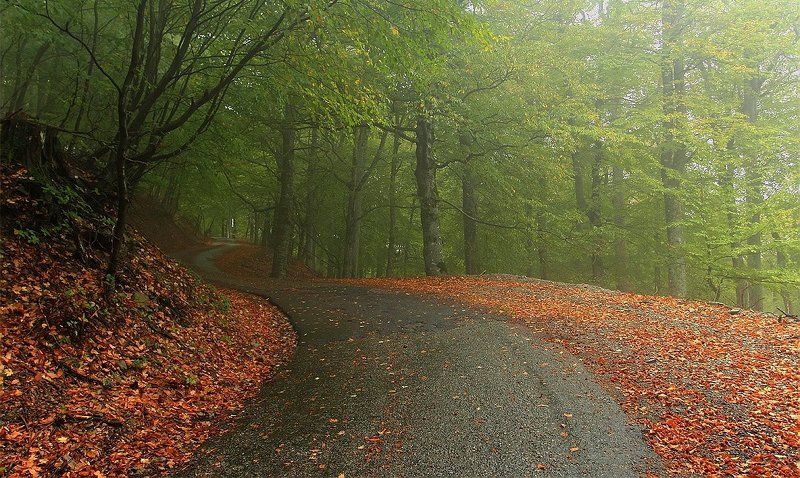 крым, романовское шоссе, туман Осень на дороге Романовых фото превью