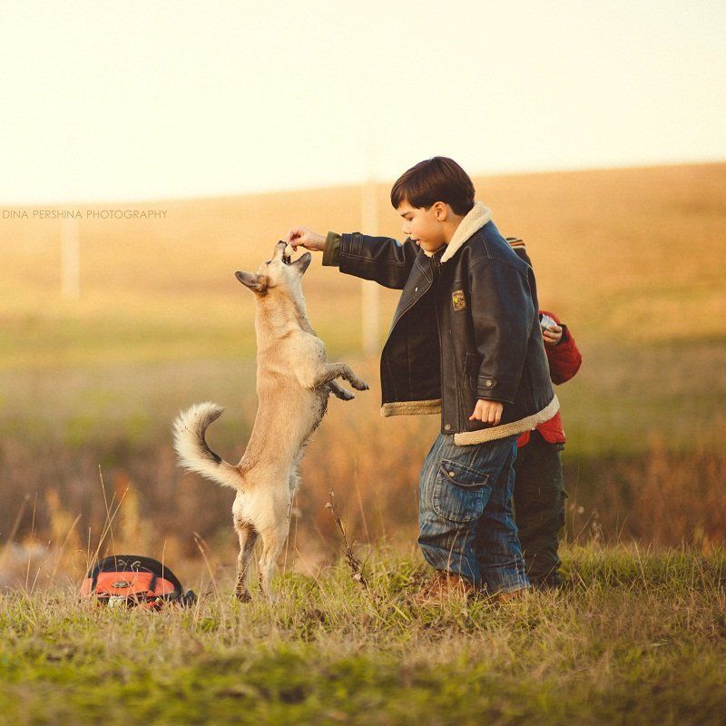 Два брата и их верный пес фото превью