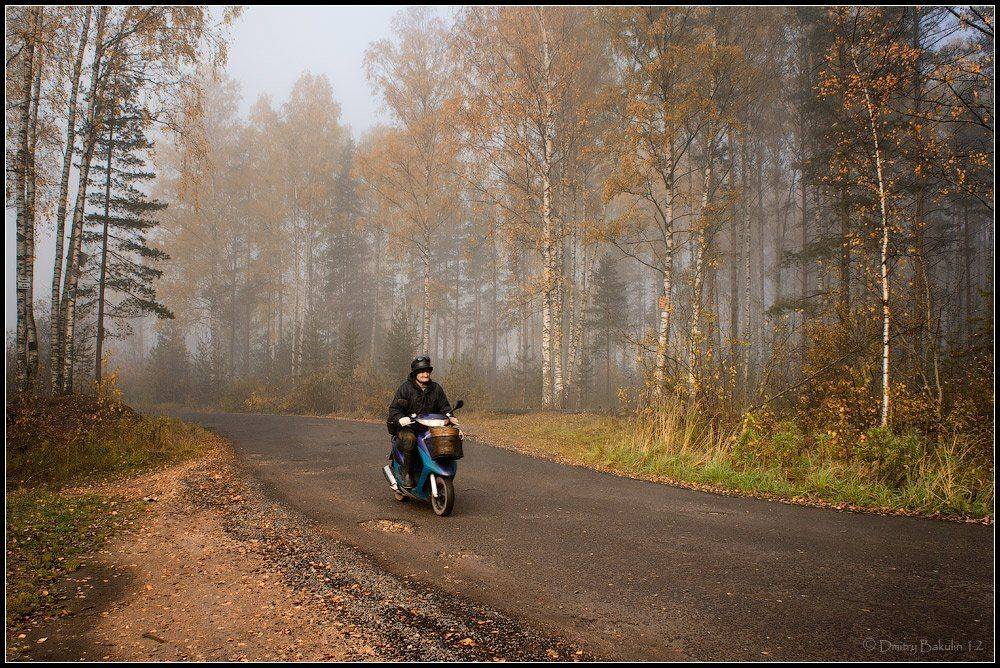 , Дмитрий Бакулин