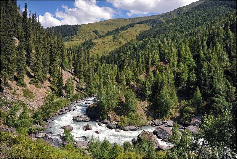 дждунгарский, алатау, казахстан, горы Зарисовки Джунгарского Алатау 1 фото превью