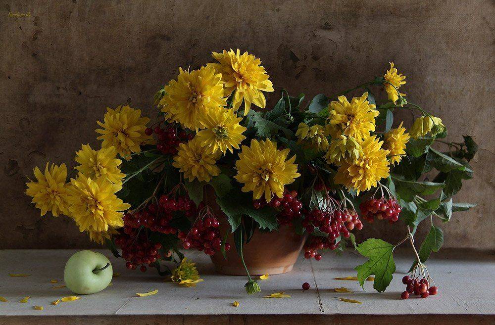 цветы, натюрморт, Svetlana Ра