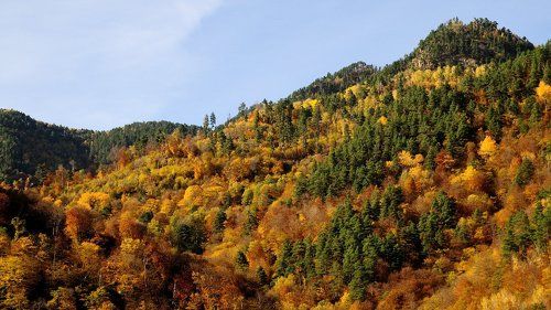 Осень в Архызе