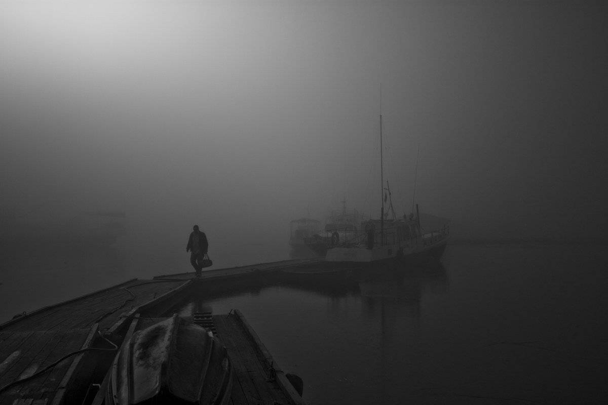 , Алексей Трофимов