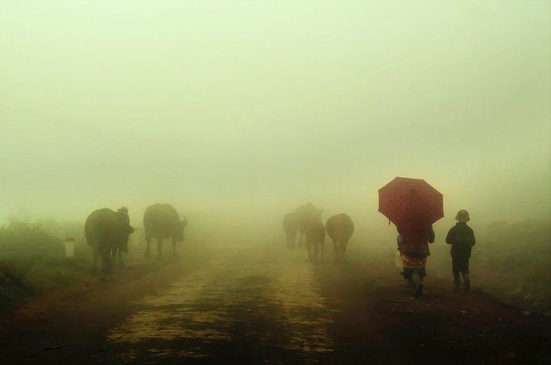Morning фото превью