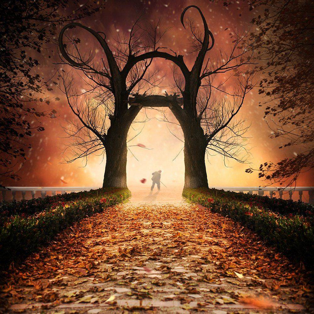 , Caras Ionut