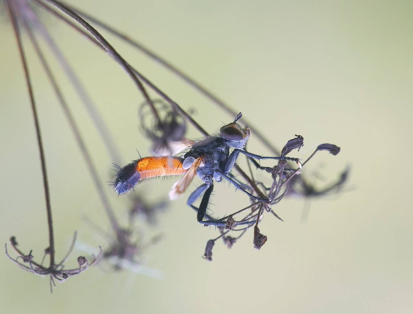 , Андрей Канышев