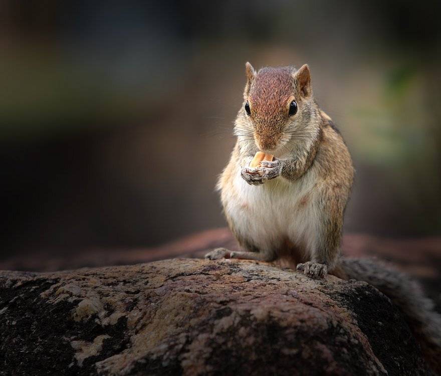 , Андрей Канышев