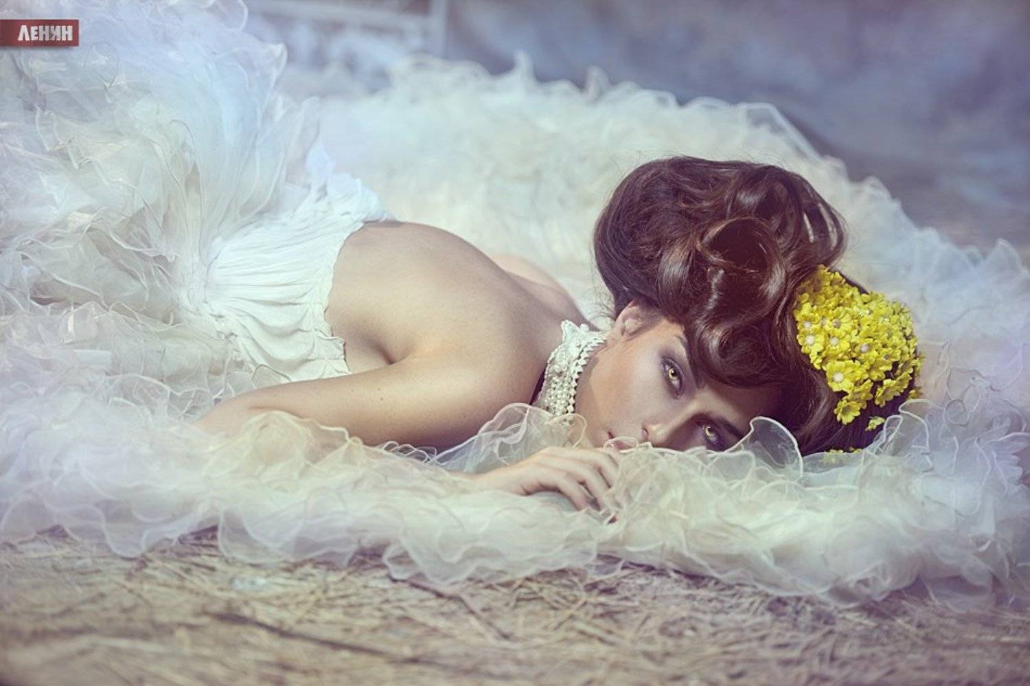 popoff, lenin, ленин, &copy; ЛЕНИН