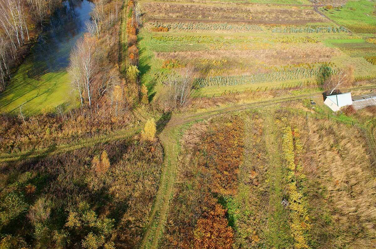 , Борис Резванцев