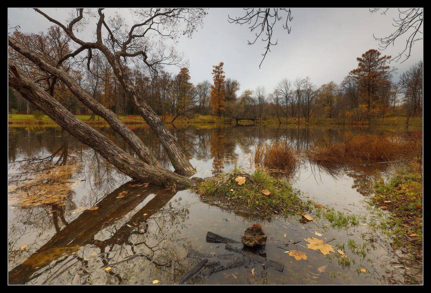 александровский, парк, царское, село, пушкин, осень, Ilya Shtrom