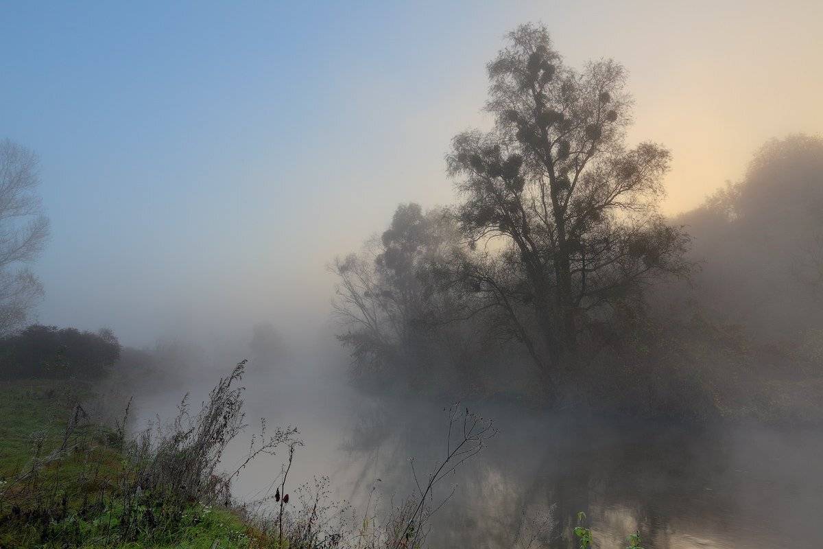 утро, рассвет, река, туман, Михаил Псарёв