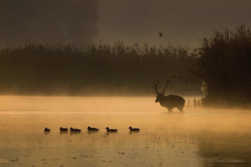 September morning