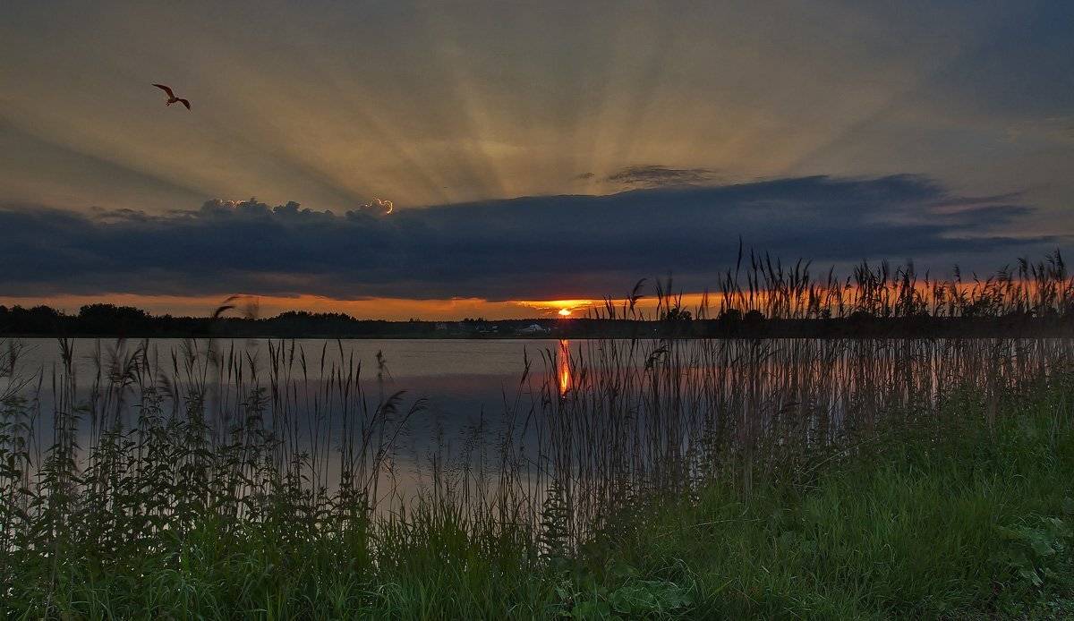 купавинские, озёра, Андрей Леонидович