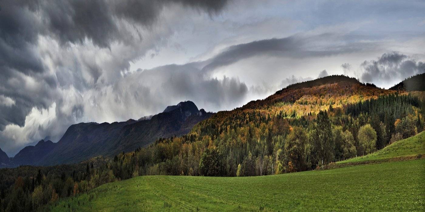swiss, Матвеев Николай