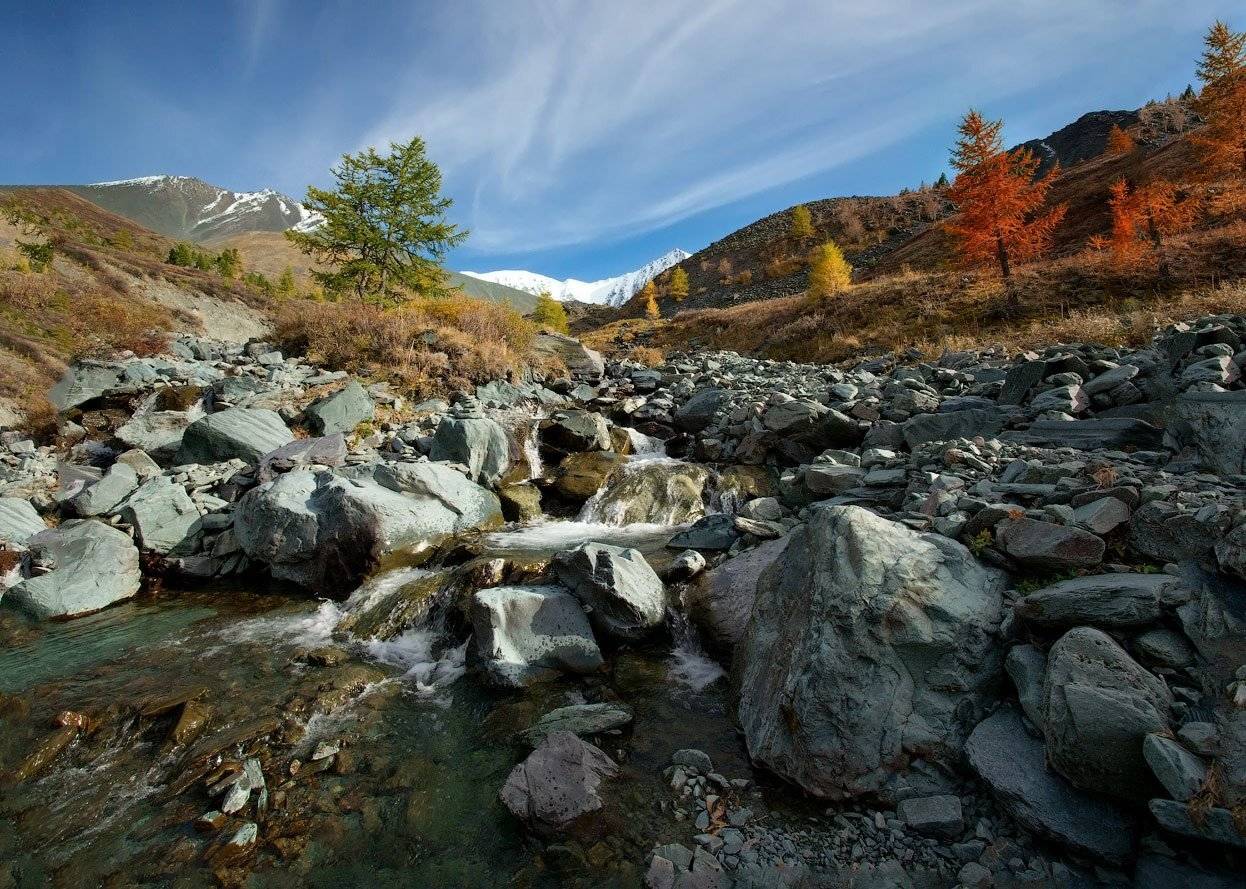 , Владимир Ляпин