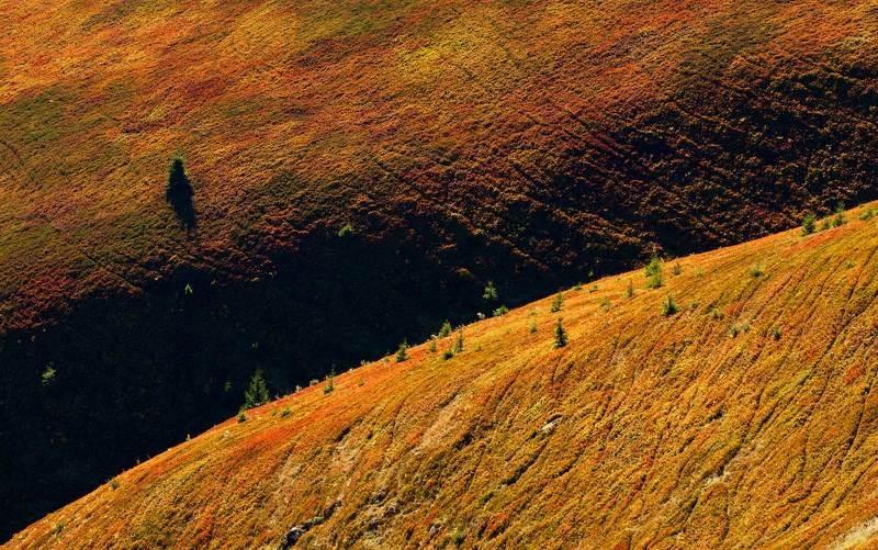 Осенняя палитра Боржавы фото превью