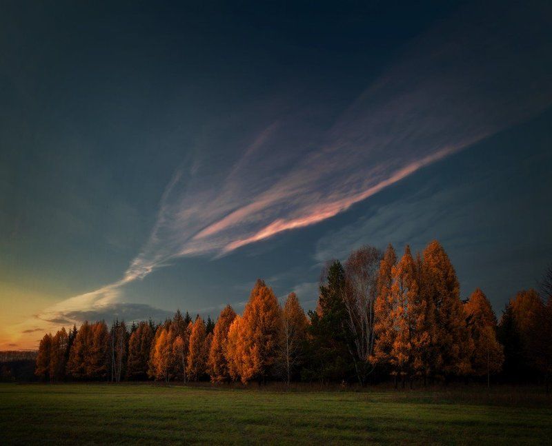 ____ фото превью