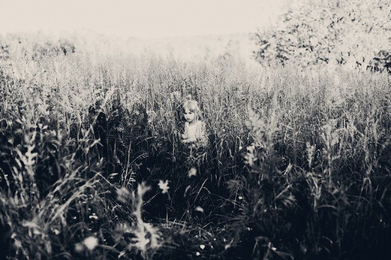 Hide and Seek фото превью