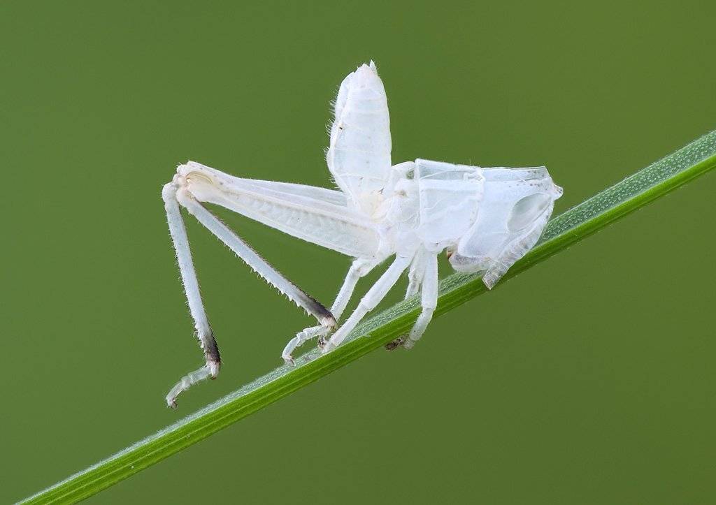 , Сергей Таланов