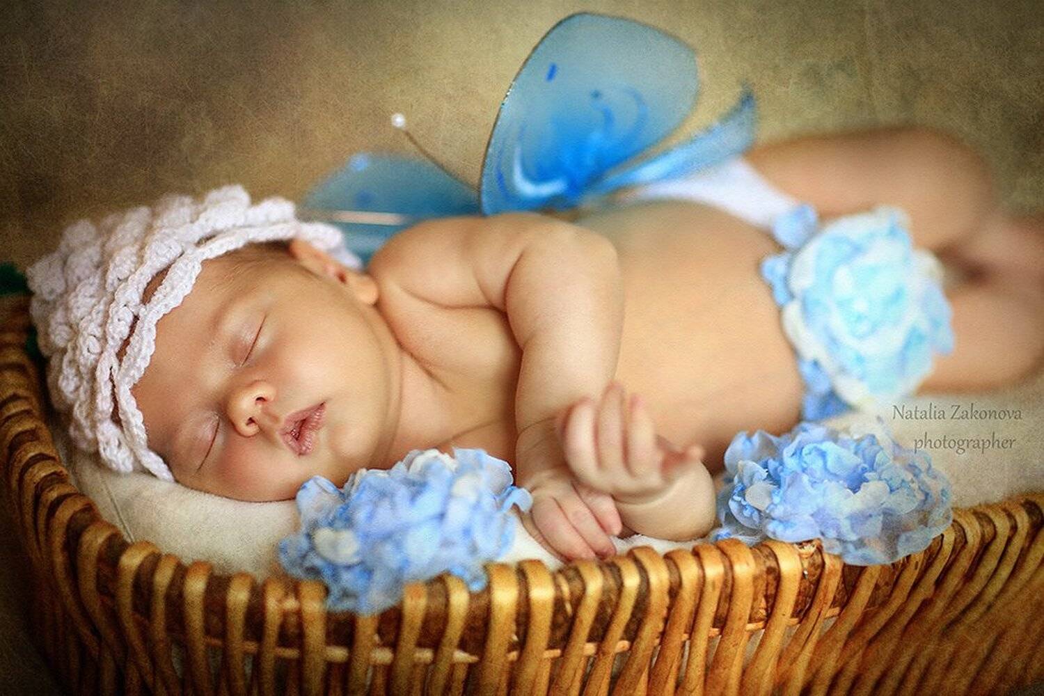 , Наталья Законова