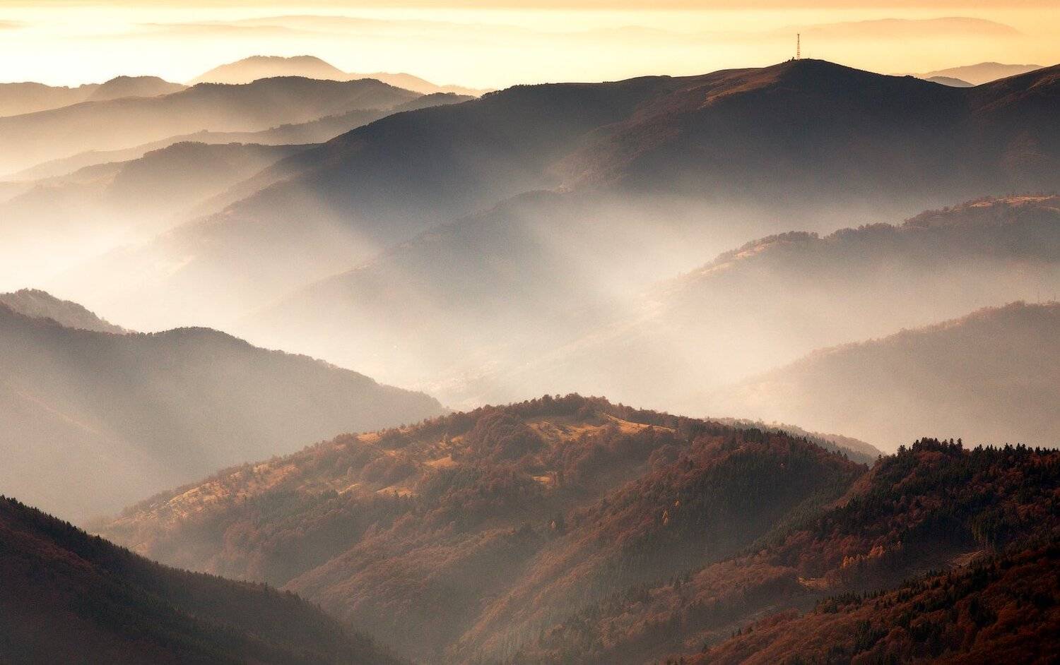 , Андрій Плясун