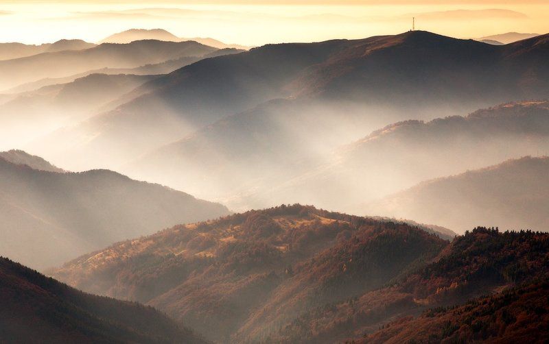 Сила света фото превью