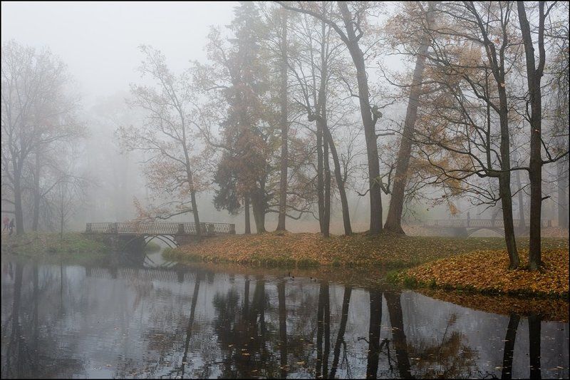 александровский, парк, октябрь Misty фото превью