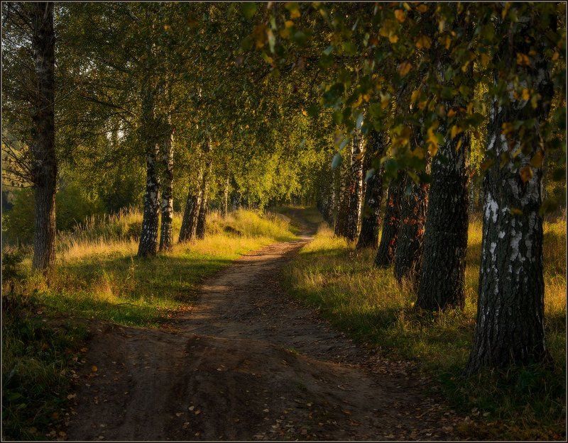 **** фото превью