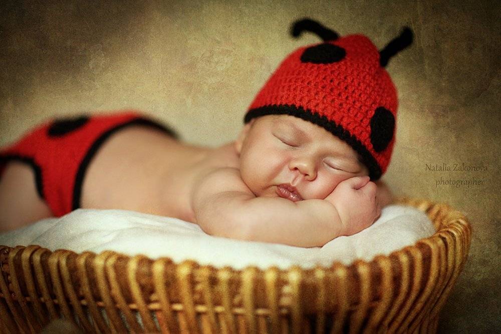 , Наталья Законова