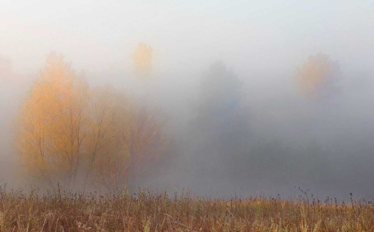 , Артём Маковский