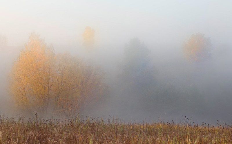 ... фото превью