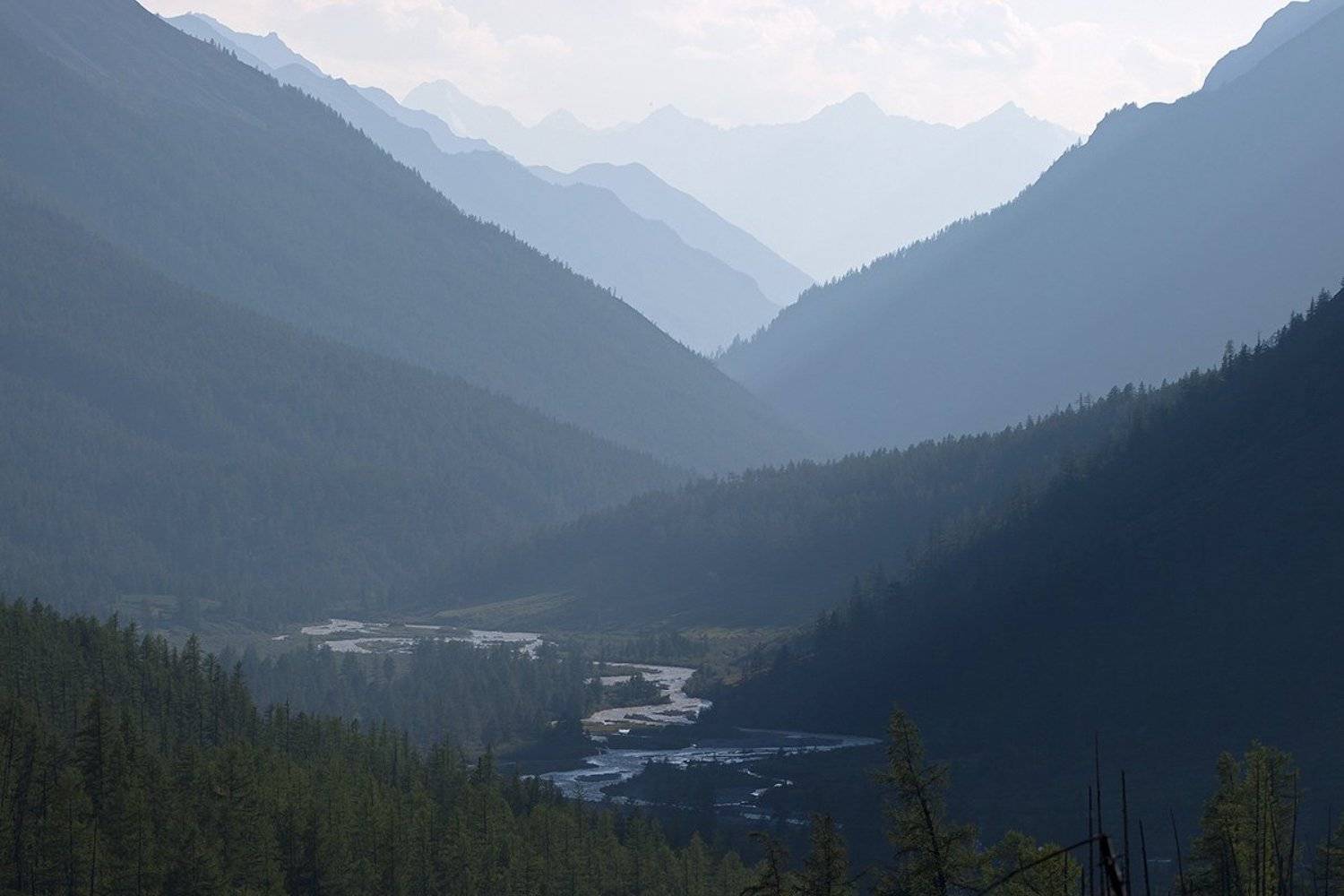 карагем, алтай, Артем Головин