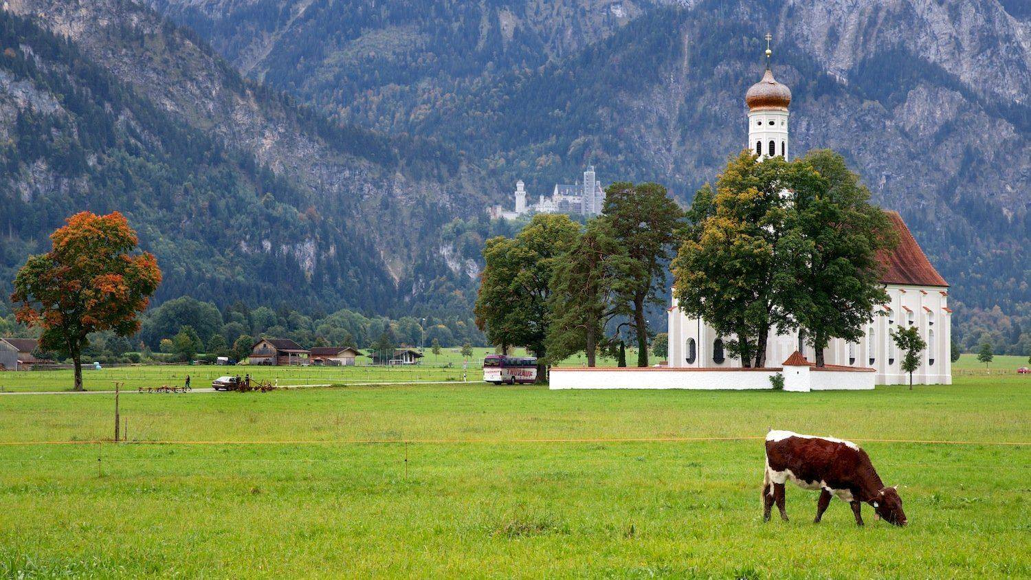 , СПИРИДОНОВ НИКОЛАЙ