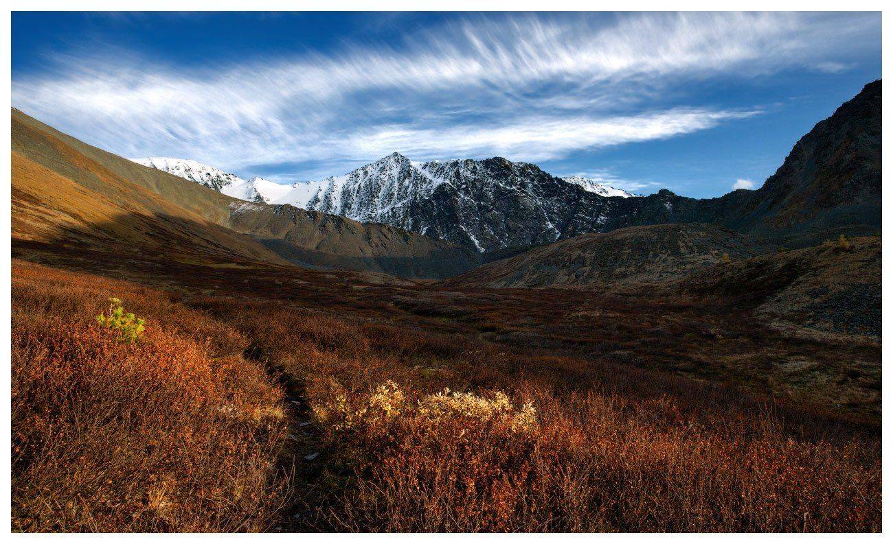 , Владимир Ляпин