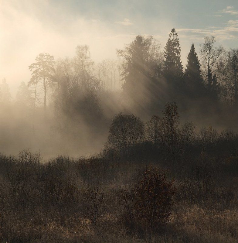 \\\\\\\\\\ фото превью