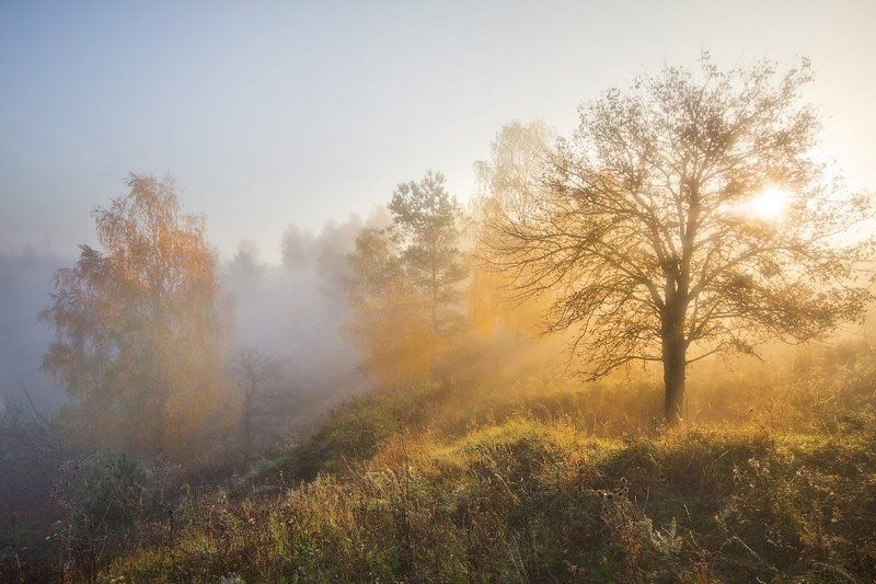 ... фото превью